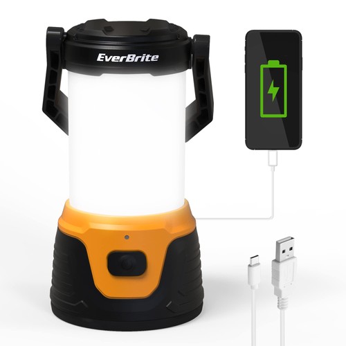 Everbrite 1000 rechargeable - lm,